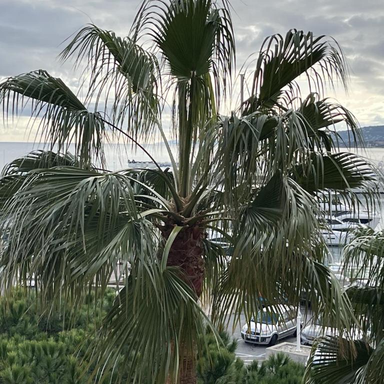 Le Capitole B 302, studio 26m2, clim, 2 adultes 2 enfants - Monolocale con Vista Mare - 22