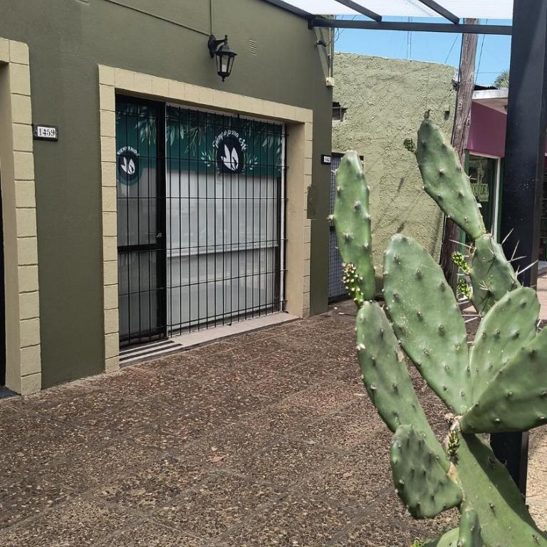 Downtown apartment 2 blocks - Apartamento de 1 dormitorio - 8