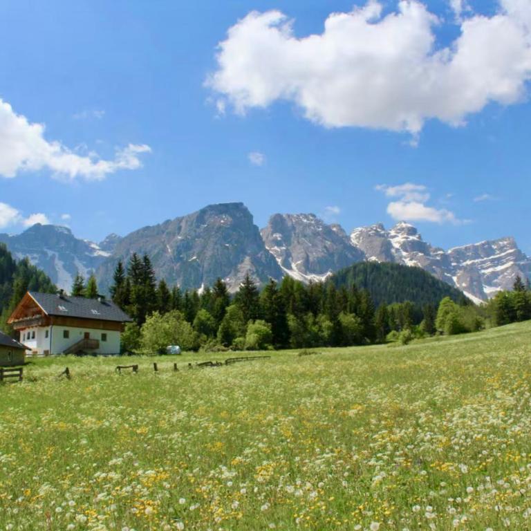Appartamenti Chantal - Appartamento con 1 Camera da Letto - 14