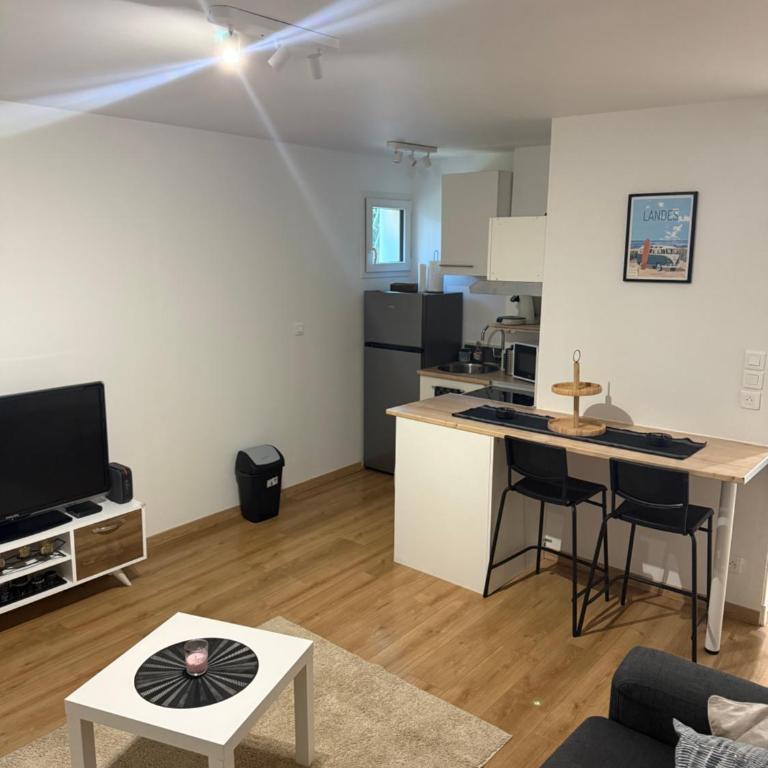 Appartement T2 - Appartement 1 Chambre - 3