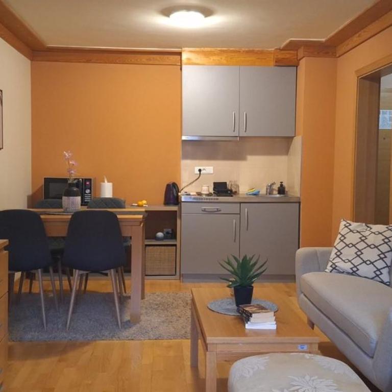 Apartman 107 in Aparthotel Vučko Jahorina - Ski & relax - private host - Apartment - 9