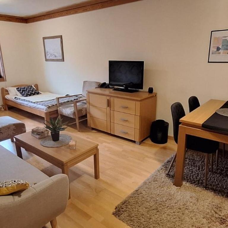 Apartman 107 in Aparthotel Vučko Jahorina - Ski & relax - private host - Apartment - 11