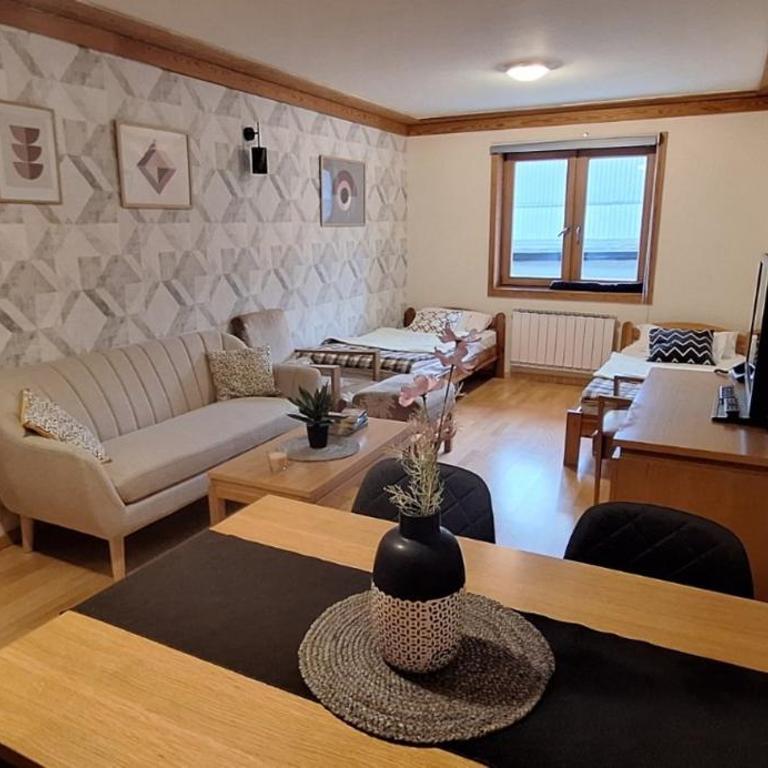 Apartman 107 in Aparthotel Vučko Jahorina - Ski & relax - private host - Apartment - 17