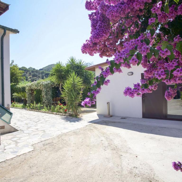 Villa Leo in zona residenziale vicino a Portoferraio - Villa con Vista Giardino - 7