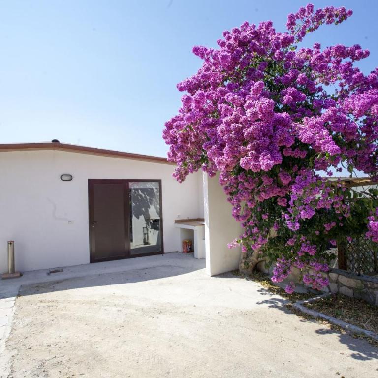 Villa Leo in zona residenziale vicino a Portoferraio - Villa con Vista Giardino - 13