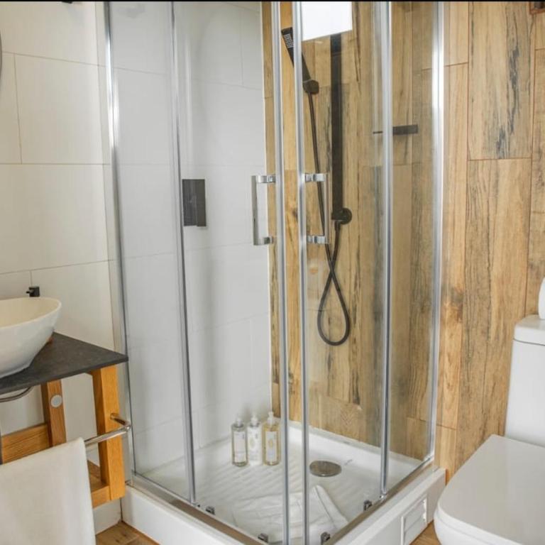 Alto Pehuén - One-Bedroom Apartment - 6