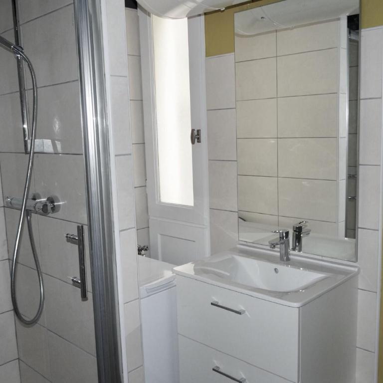 Appartement Lumineux et confortable centre ville - Appartement 1 Chambre - 4