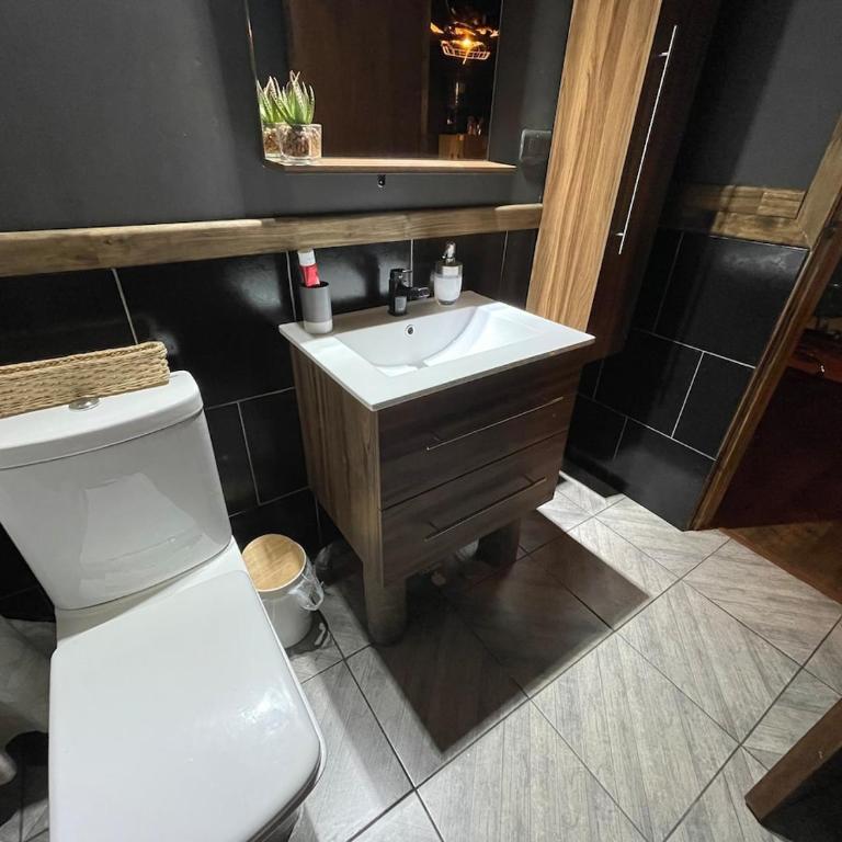 Cabin with Jacuzzi - Casa con 1 dormitorio - 23