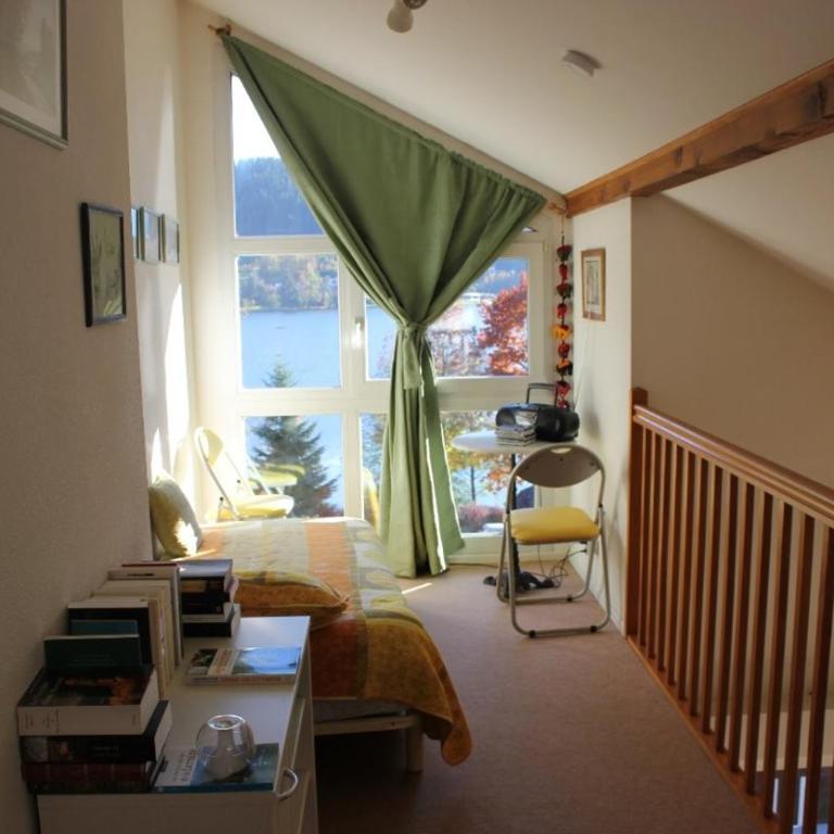 Appartement duplex avec vue sur le lac de Gérardme - Appartement 3 Chambres - 15
