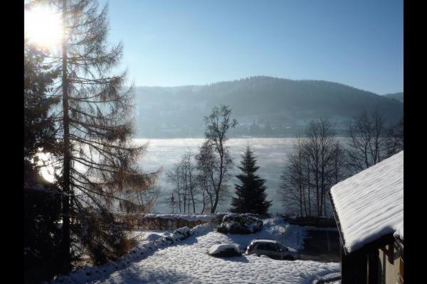 Appartement duplex avec vue sur le lac de Gérardme - Appartement 3 Chambres - 23