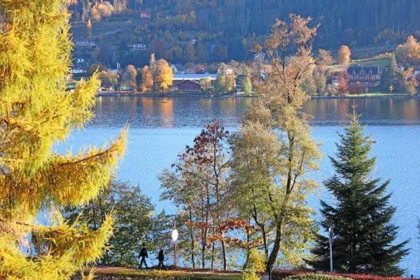 Appartement duplex avec vue sur le lac de Gérardme - Appartement 3 Chambres - 22