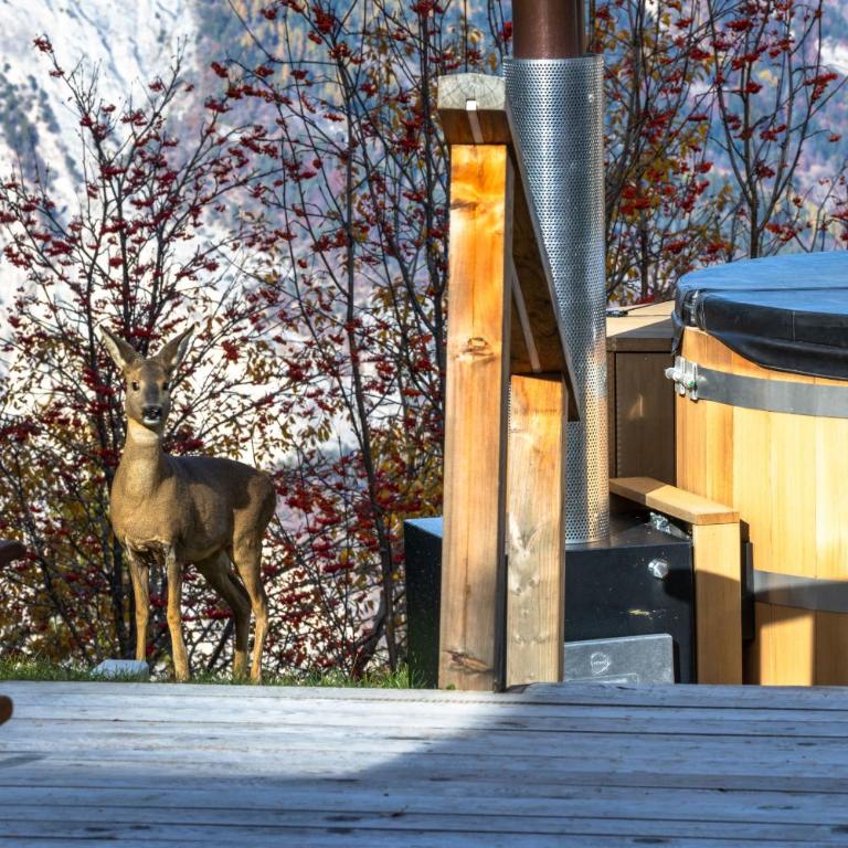 Chalet Cimes and Dreams - Petit coin de paradis - Chalet - 23