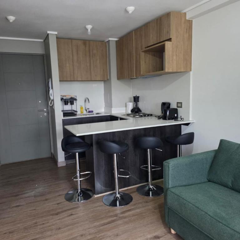 Departamento Jardín Austral - One-Bedroom Apartment - 4
