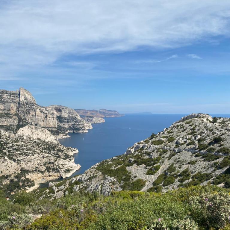 Mas Chamarel, la Provence entre vignes et oliviers proche de la mer - Maison 3 Chambres - 45