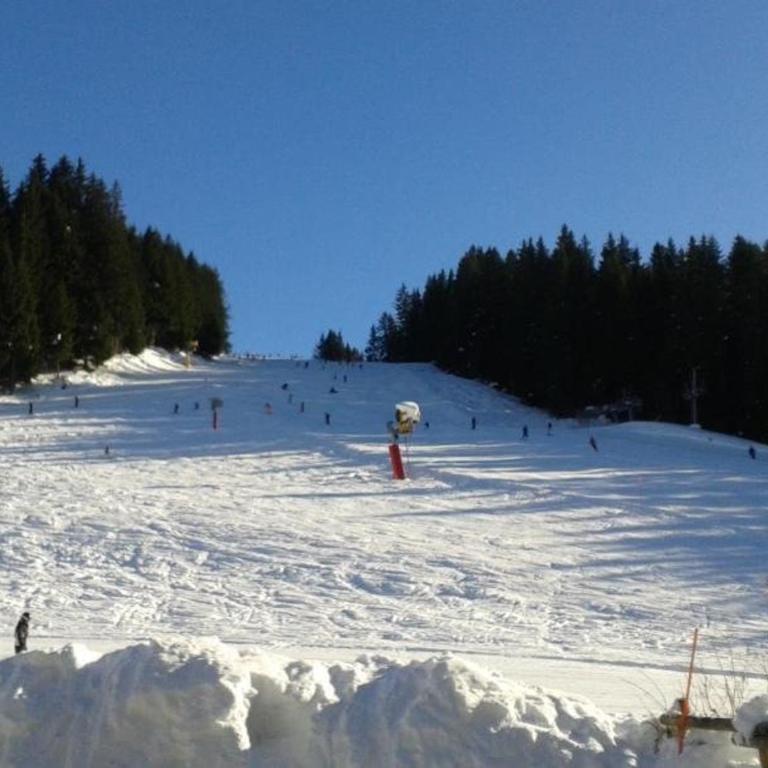 Appartement Duplex 4 Pièces, 6 Pers, Pieds des Pistes, Draps Inclus, Navettes Gratuites - FR-1-802-62 - Apartment - 22