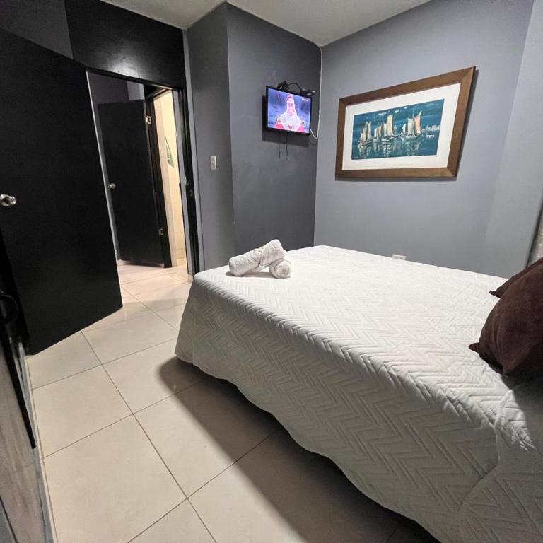 Aloha Rodadero - Apartamento de 1 dormitorio - 5