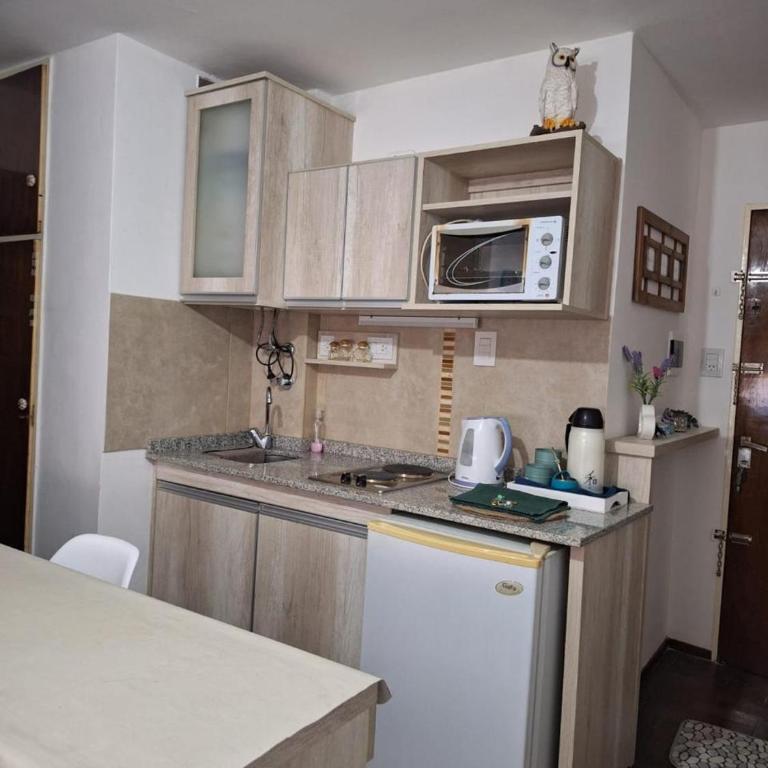 El Abrojal 4 - Monoambiente Céntrico, zona Patio Olmos - Apartamento de 1 dormitorio - 7