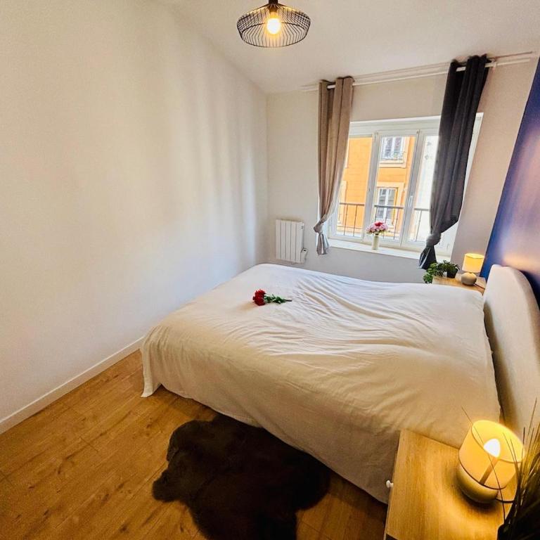 Le rêve bleu - Proche centre-ville - Saint-Etienne - Apartamento de 1 dormitorio - 11