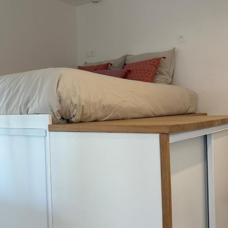 Charmant 2 pièces Jardin des plantes Paris 5 - Apartment mit 1 Schlafzimmer - 21