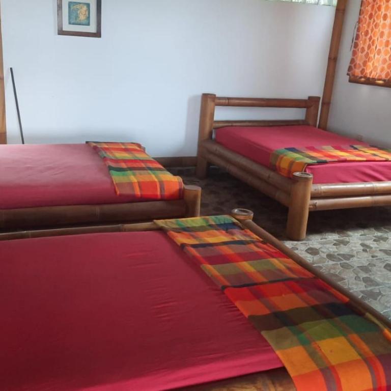 Manglar escondido - Family Room - 4