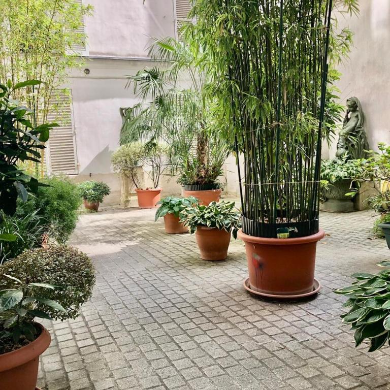 Joli 2 pièces Jussieu Paris 5 - Appartement 1 Chambre - 8