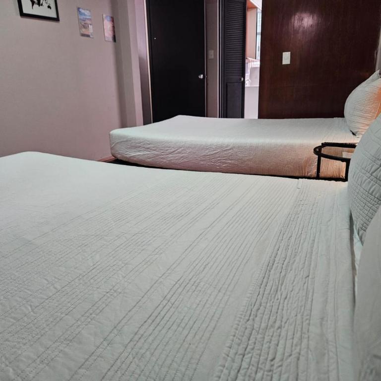 Singular Coyoacán Pepper My Love! - Double Room - 7