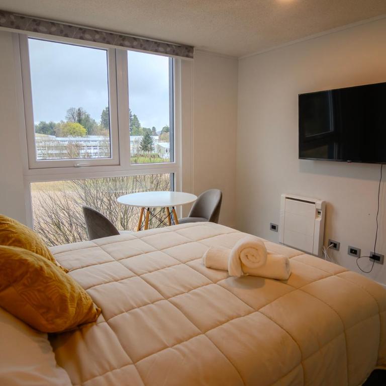 Moderno departamento en Valdivia - Apartamento de 1 dormitorio - 10