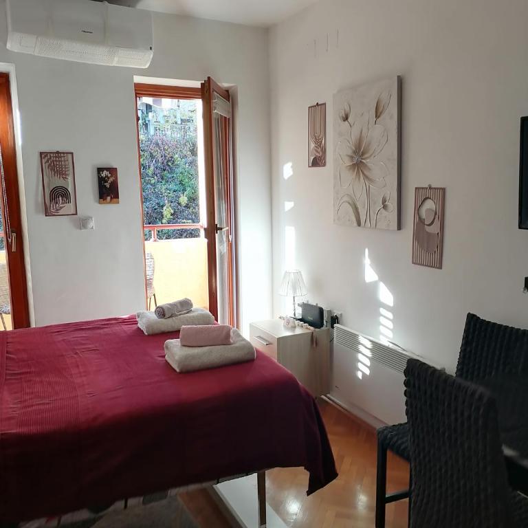 Apartman Lala - Apartman sa 1 Spavaćom Sobom - 1