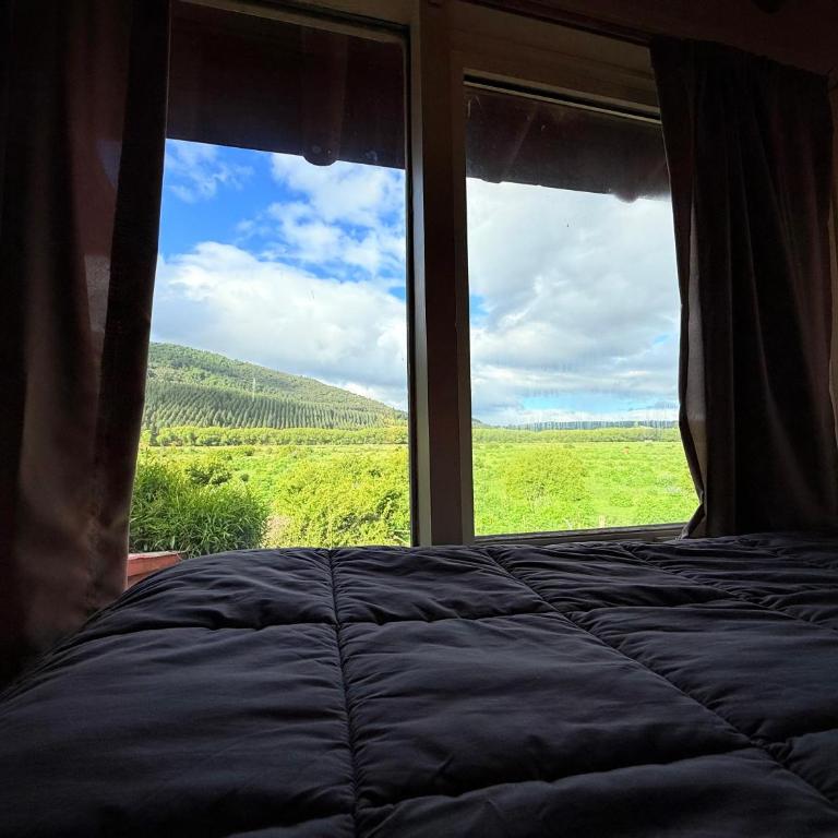 Tres Coronas - Bungalow de 2 dormitorios - 62