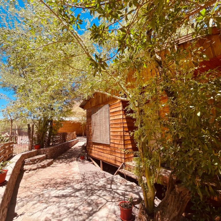 Cabañas San Pedro de Atacama 2 - Two-Bedroom Apartment - 25