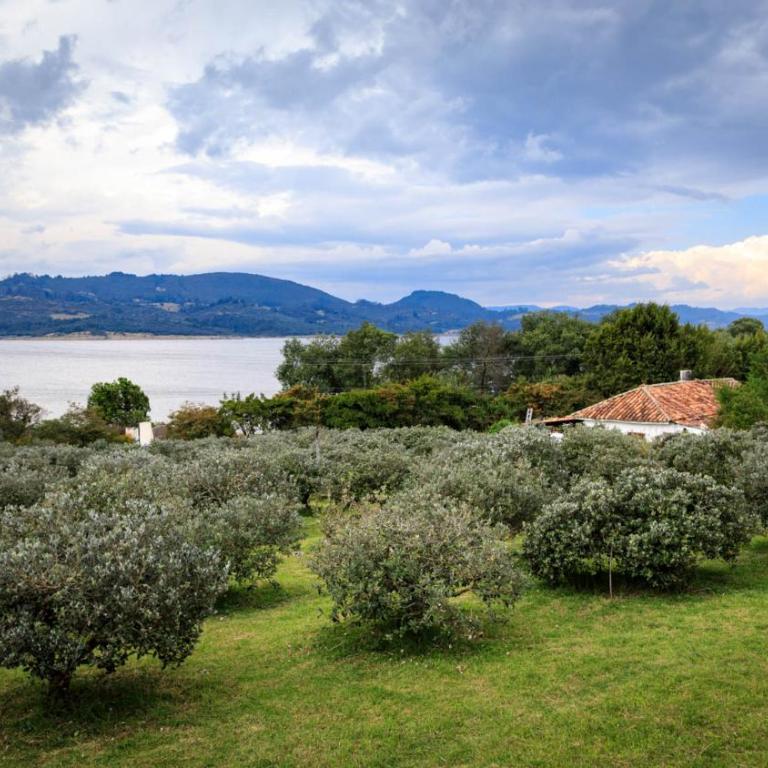 FINCA TUTASUA Lake View Luxury House - Villa - 39