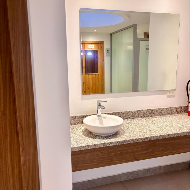 Departamento de 1 habitación, parque La Carolina - One-Bedroom Apartment - 16