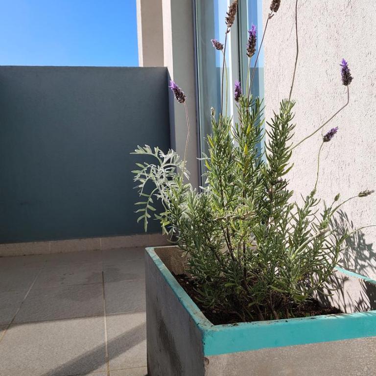 Salta Departamentos con PIleta Wifi y Cochera - Apartamento de 2 dormitorios - 4