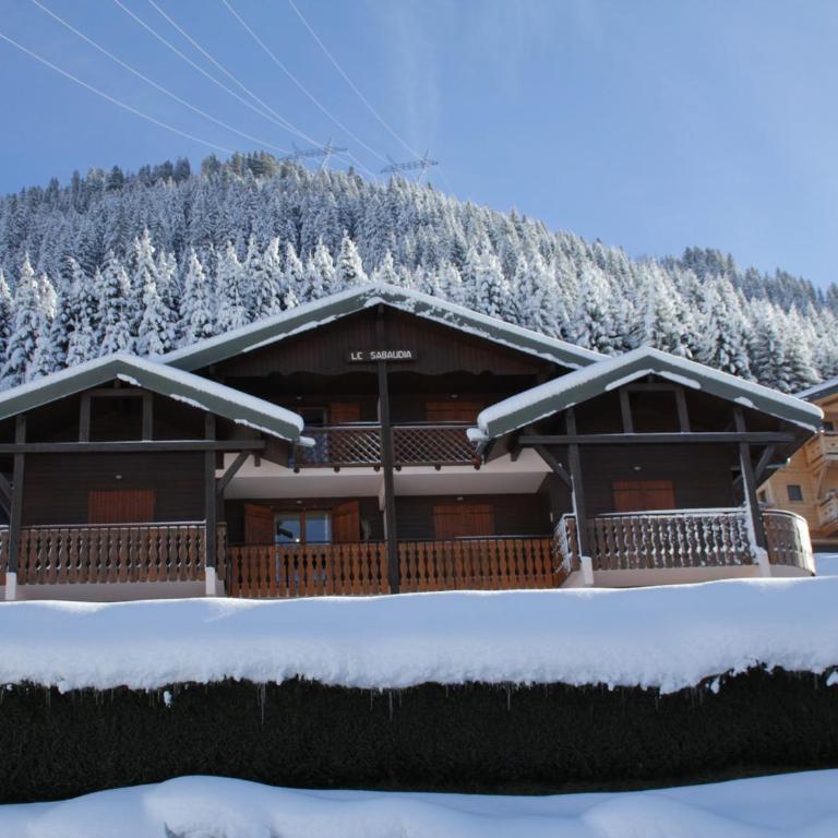 Appartement en duplex à Châtel avec parking - 6 pers - FR-1-198-274 - Apartment - 10