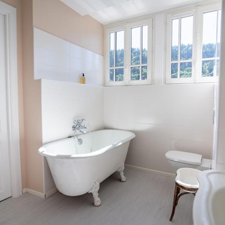Grande demeure avec piscine couverte et parking pour 15 personnes - FR-1-858-4 - Maison de Vacances - 17