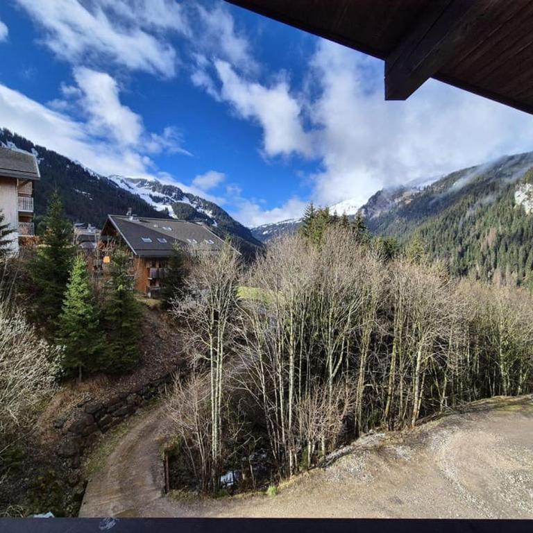 Studio Châtel 4 pers avec Parking et WIFI - FR-1-676-247 - Monolocale - 11