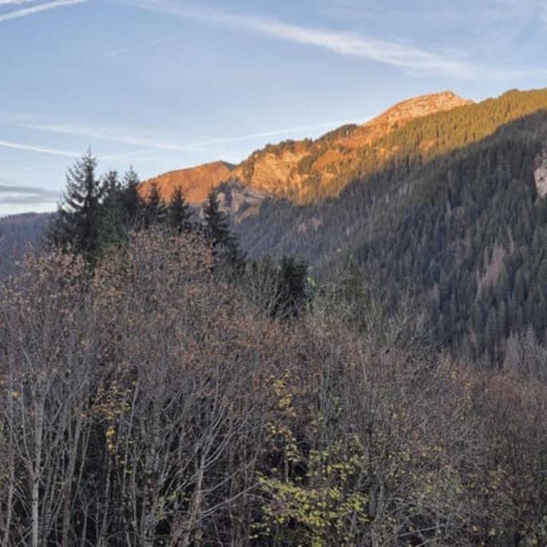 Studio Châtel 4 pers avec Parking et WIFI - FR-1-676-247 - Monolocale - 12