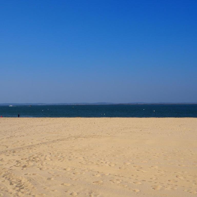 T2 Rez-de-Jardin Proche Plage à Arcachon avec Parking - FR-1-474-284 - Appartement - 9
