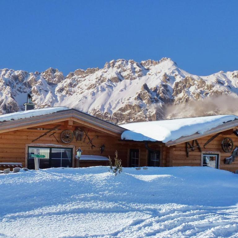 Almdorf im Winkl - Blockhüttendorf in Gröbming - Chalet mit 2 Schlafzimmern - Typ 1 - 1
