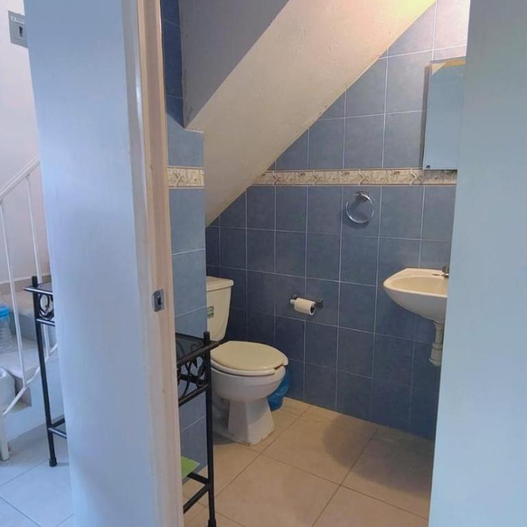 Casa con alberca en Zona Diamante - Casa de 3 dormitorios - 8