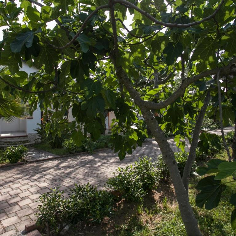 Villaggio Alba Chiara - Appartamento Deluxe con 2 Camere da Letto - 4