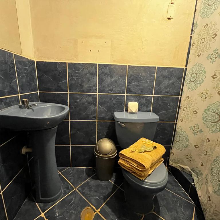 Casa Paqocha Garden - Ollantaytambo - Hot Water - Wifi - Cocina Compartida - Twin Room with Private Bathroom - 14