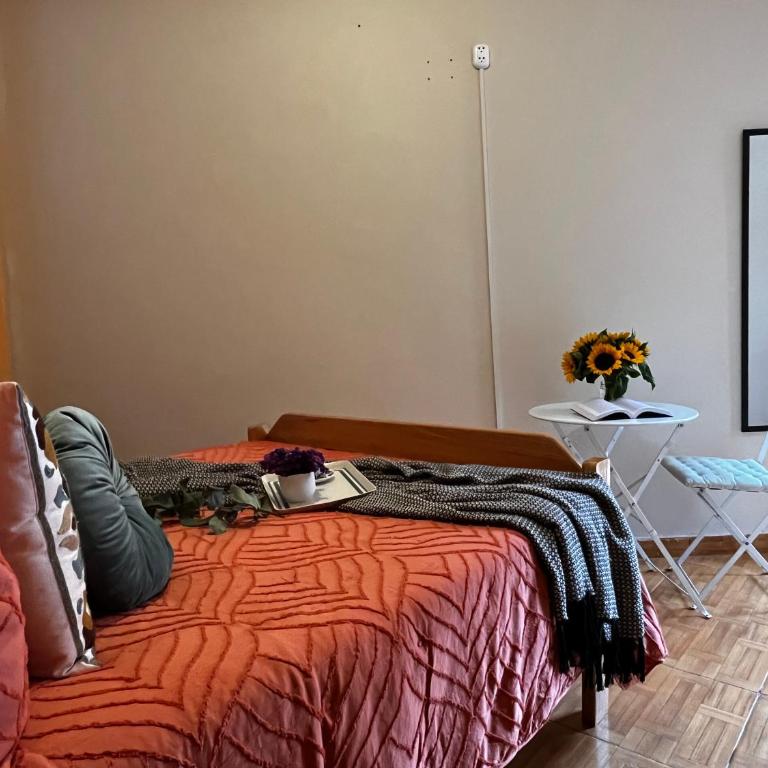 Casa Paqocha Garden - Ollantaytambo - Hot Water - Wifi - Cocina Compartida - Double Room with Private Bathroom - 3