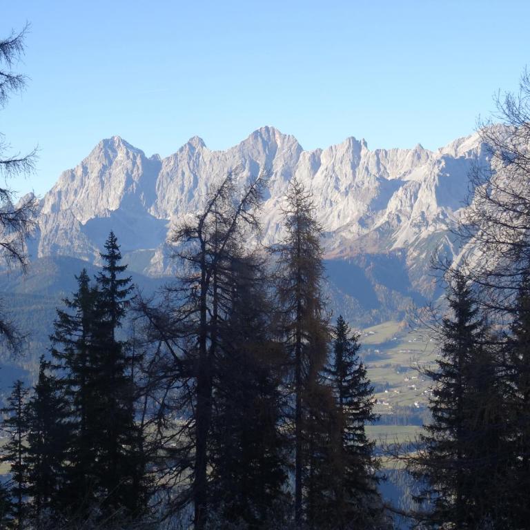 Haus Kieler - Apartment mit Blick auf die Berge - 18