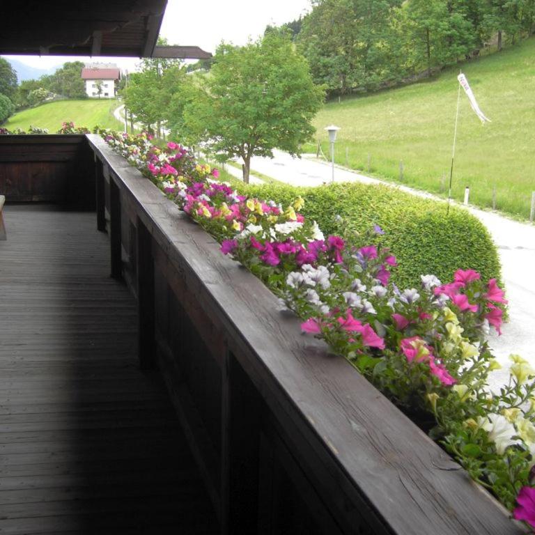 Haus Kieler - Apartment mit Blick auf die Berge - 5