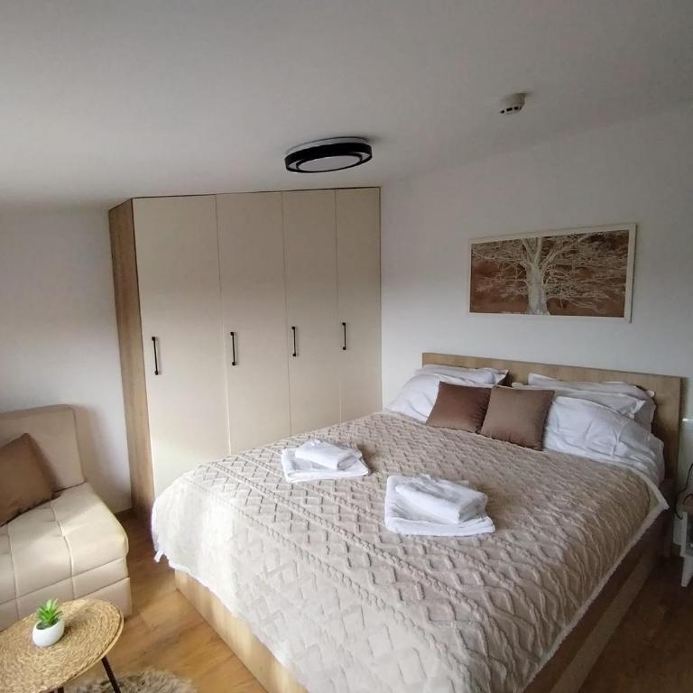 AlibiKopaonikSky32 - Apartman sa 1 Spavaćom Sobom - 5