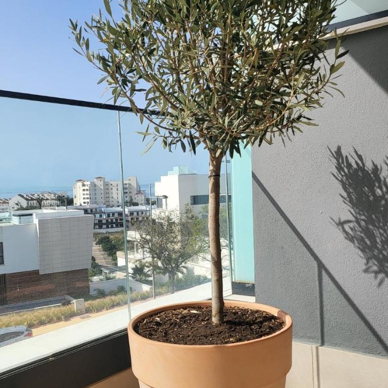 The blue apartment in Las Mesas, Estepona - Apartamento de 2 dormitorios con vistas al mar - 26