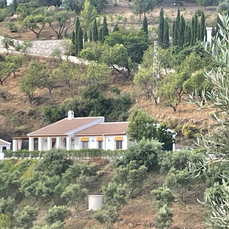 Casa Calmante - Stunning 3-bedroom Villa with Private Pool - Villa de 3 dormitorios - 21