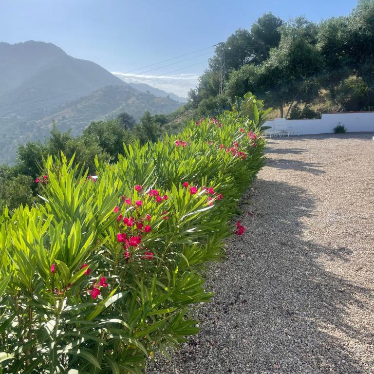 Casa Calmante - Stunning 3-bedroom Villa with Private Pool - Villa de 3 dormitorios - 54