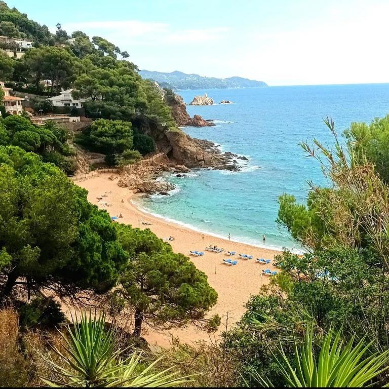 Vivalidays Angels - Blanes - Costa Brava - Apartamento de 1 dormitorio - 22